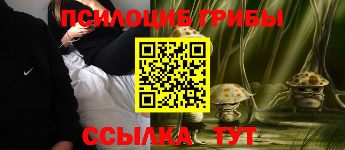 Псилоцибиновые грибы мухоморы Каменск-Уральский
